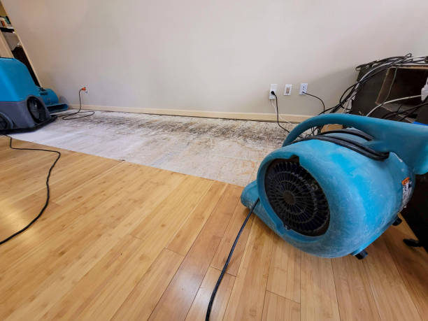 Professional Water Damage Repair technician working in Washburn, TN